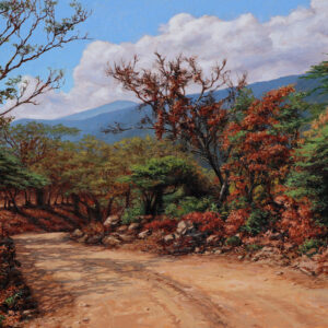 Dirt Road