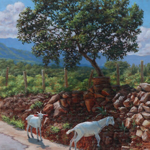 Goats by the Roadside