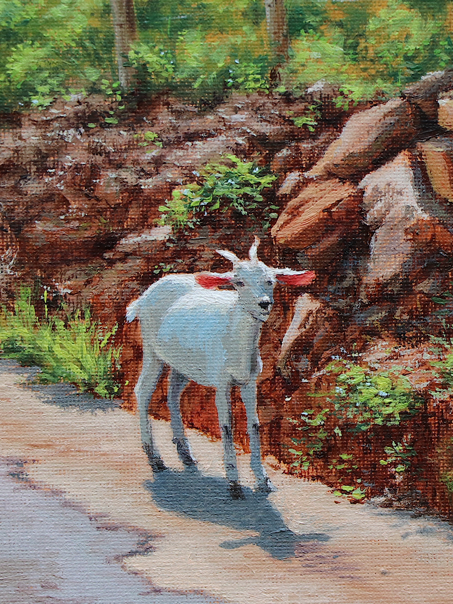 About Me Goats by the Roadside