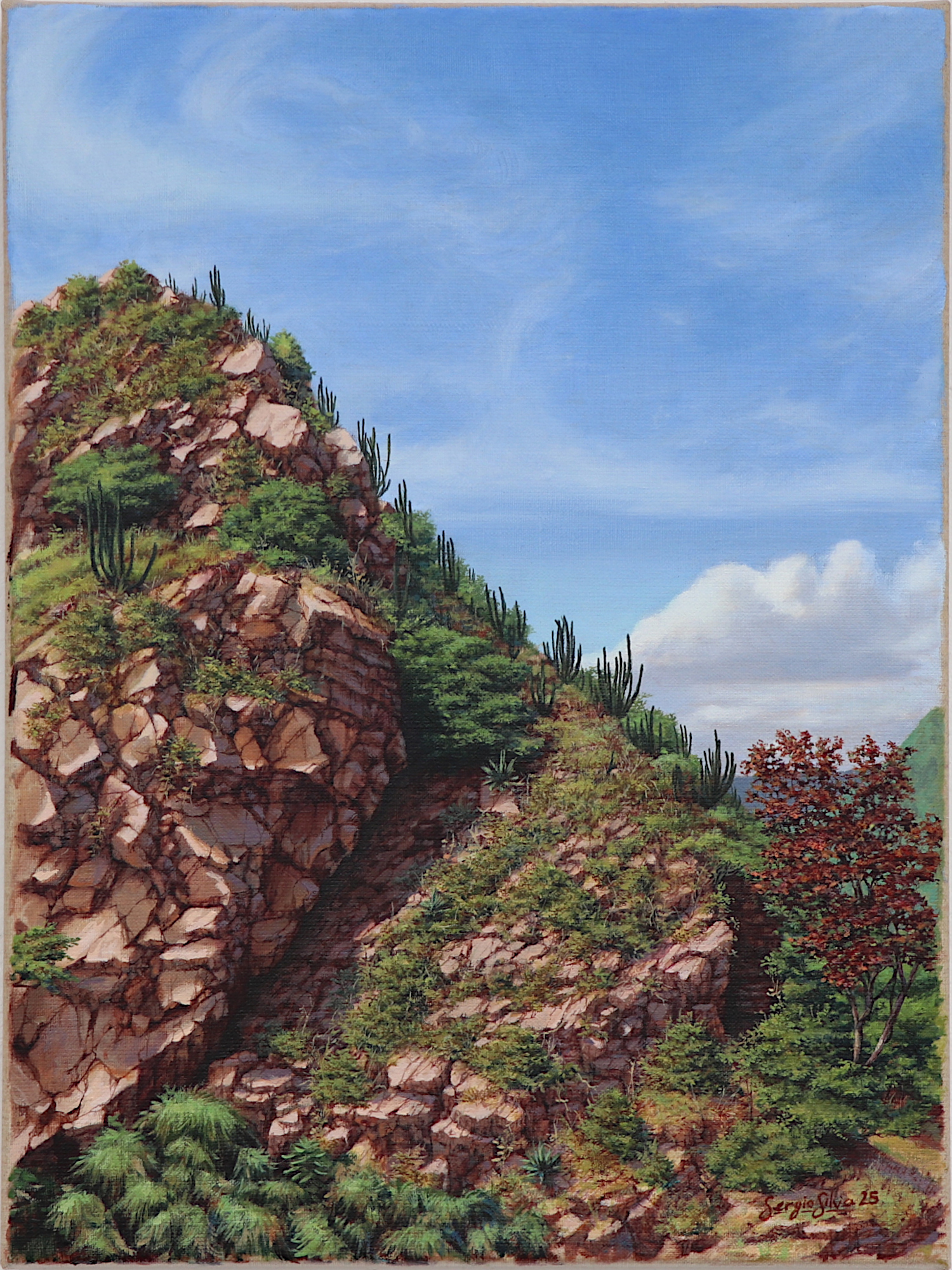 About Me the sin of the canyon